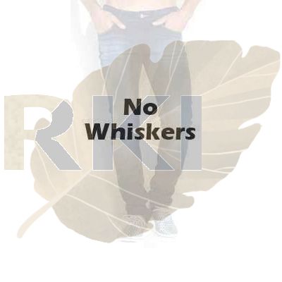 https://www.konarki.com/media/catalog/product/cache/e9eedd2adec10893c63bc0b382cd4323/n/o/no-whiskers-men.jpg