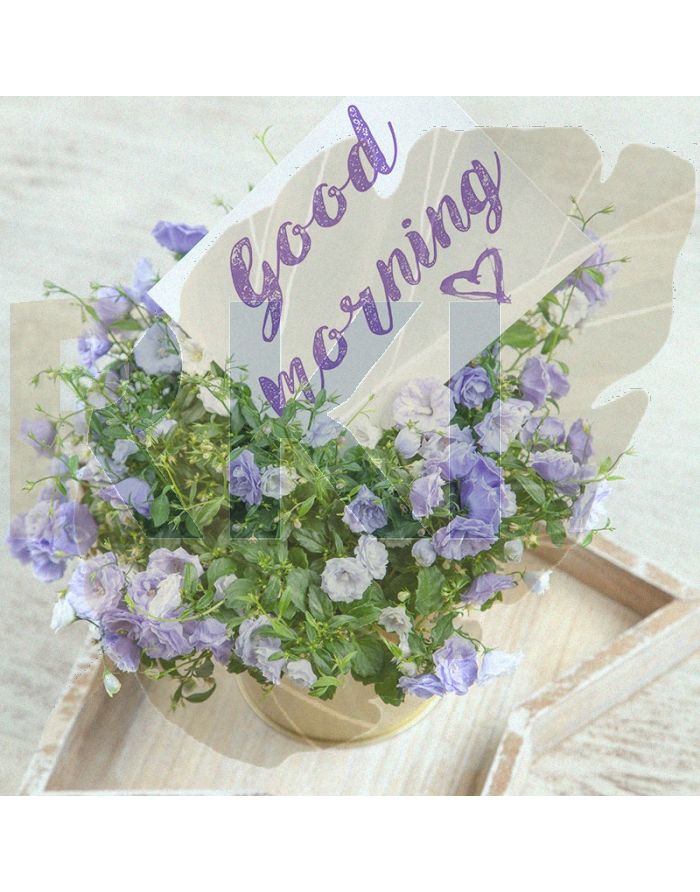 Pexels giftpunditscom