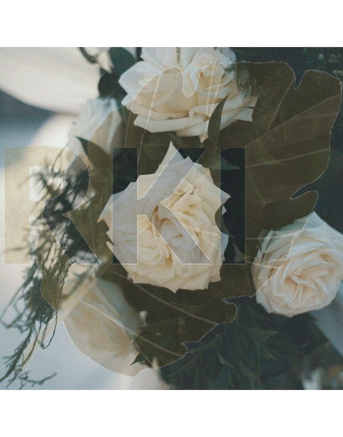 Pexels josh sorenson