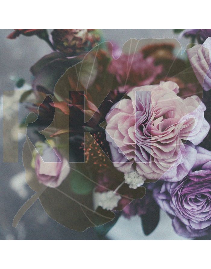 Pexels nadezhda moryak