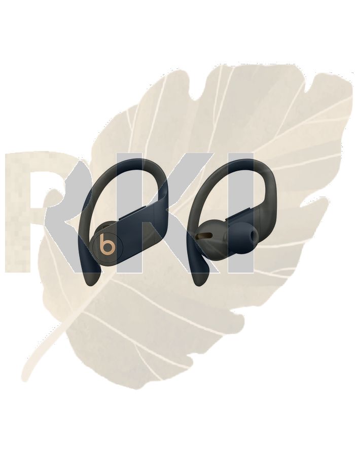 Totally Wireless Earphones