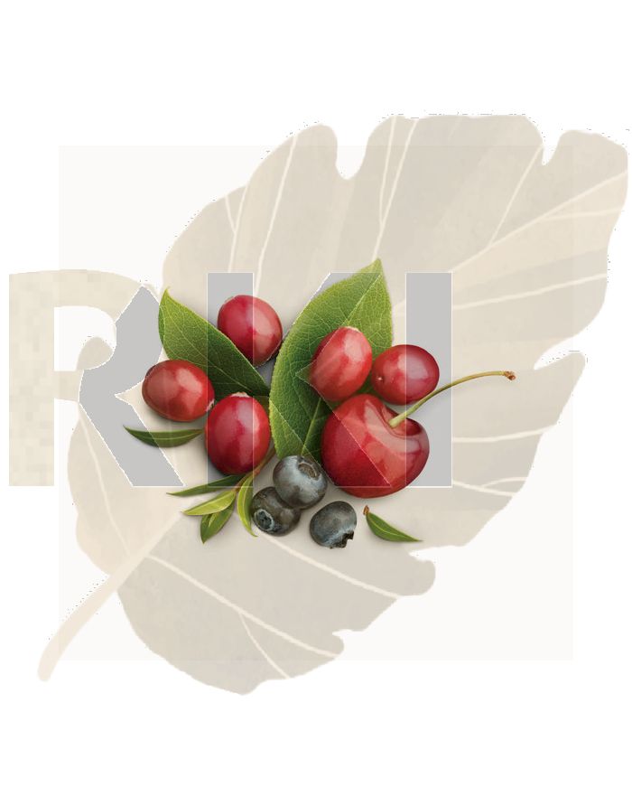 Fresh Red Cherry